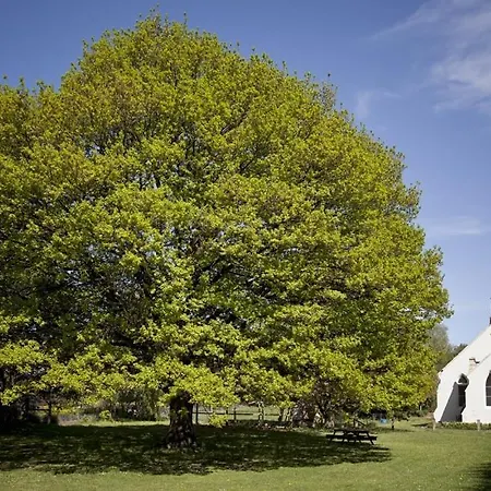 The Holy Oaks Villa Duntroon Exterior photo