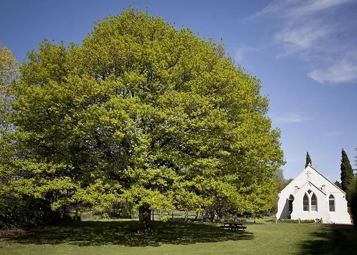 The Holy Oaks